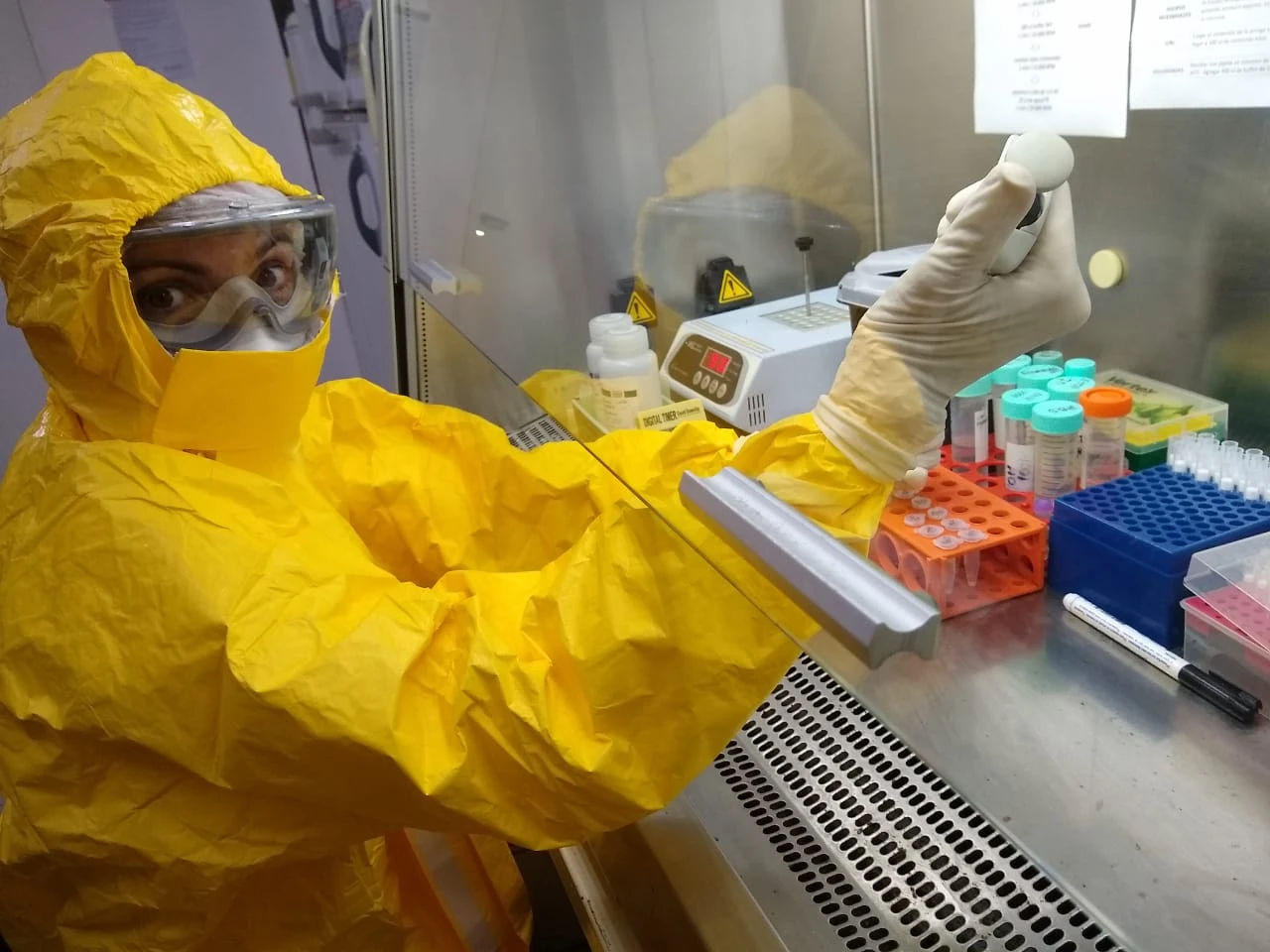 La mayoría de las personas que participamos acá ya tenemos experiencia en algún área relacionada. Yo, por ejemplo, llevo 12 años de formación en virus respiratorios y lo que estoy haciendo es aplicar mi conocimiento a esto”, dice Débora Marcone 