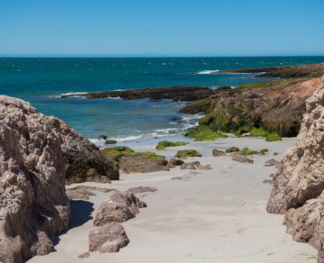 Bahía Bustamante, cómo es y dónde queda el destino del Sur argentino que recomendó el New York Times para vacacionar