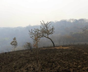 Cinco revelaciones del informe de la ONU sobre el cambio climático
