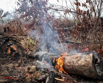 Cambio climático: confirman una mayor incidencia de desastres naturales en Latinoamérica y el Caribe