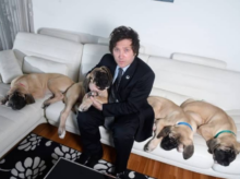 Javier Milei y sus perros clonados