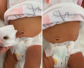 Daniela Celis mostró el momento en el que se le cayó el cordón umbilical a una de sus gemelas