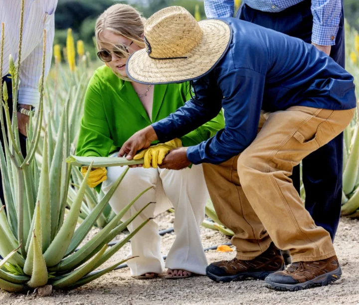 Amalia conociendo la plantación.