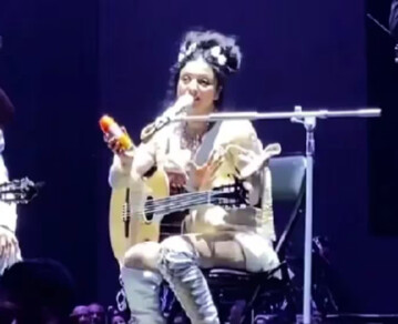 La cantante Mon Laferte debió frenar su show por la invasión de mosquitos