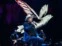 JOAQUÍN SABINA DESPEDIDA 2025 ARGENTINA FOTO GENTILEZA GUIDO ADLER